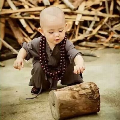 wwz8848's profile picture. 绳师初一，男S  .欢迎喜欢绳艺的姑娘骚扰。