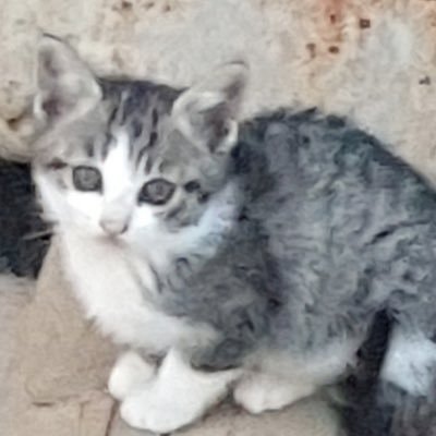 Kxx_25's profile picture. ㄴㅐ사랑 서초짱과 통영짱 ♡⁼³₌₃