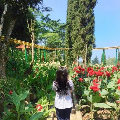 Gustyfadilla's profile picture. 