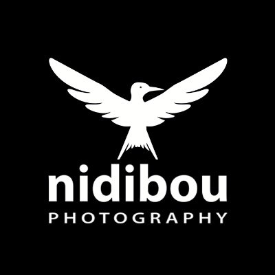 nidibou Profile Picture