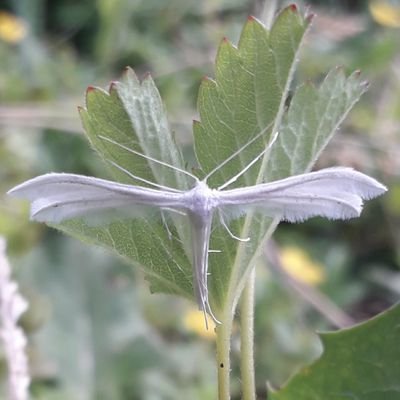 nadine2977's profile picture. Citoyenne curieuse, je cherche à comprendre et imaginer ce que sera demain. Innovation & prospective. Bzh & IdF. RT n'est pas approuver.