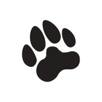 Black Pug Studio (@blackpugstudio) 's Twitter Profile Photo