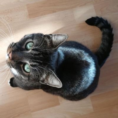 Yoogoodoo's profile picture. 