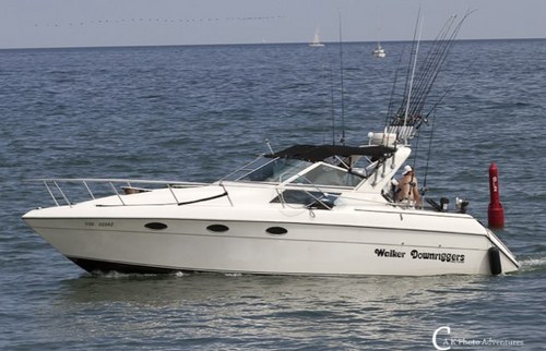 Salmonslayer310's profile picture. 