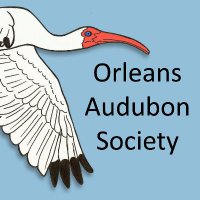 Orleans Audubon Society(@AudubonOrleans) 's Twitter Profile Photo