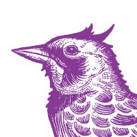 Hoplark (@drinkhoplark) 's Twitter Profile