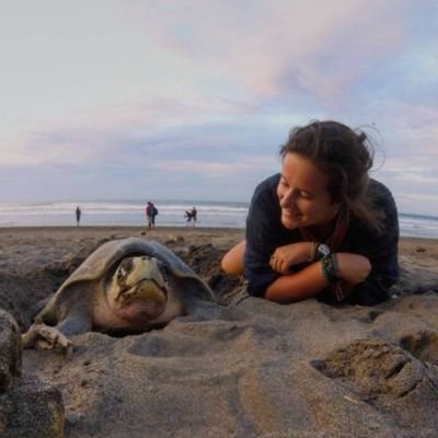 marine biologist | field ops & data management at @OceanTracking | MSc student at @dalscience | 🦈🐢 | my own thoughts | she/her