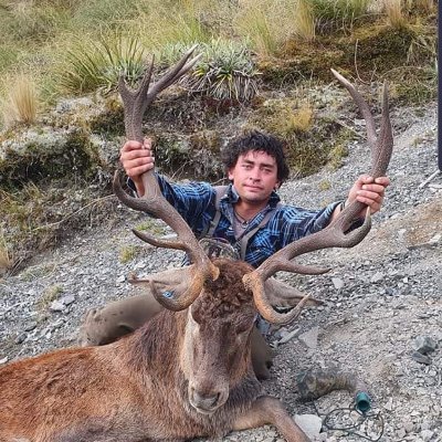 SteveTapp7's profile picture. 