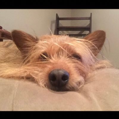 serbeauty09's profile picture. Decent person, professional student, science experiment for orthopedists.