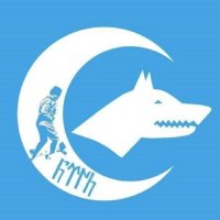 SELİM DEMİR.𐱅𐰇𐰼𐰰 🇹🇷 (@selimdemir_06) Twitter profile photo
