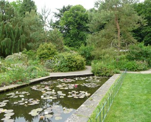 thegarden_'s profile picture. 