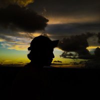 kelelawar kece (@mhssemester5) 's Twitter Profile