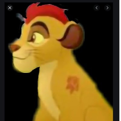 Hi my name is Kion I’m the fears leader of the Lion Guard, me along with Fuli,Beshte,Bunga and Ono we defend the Pride Lands and the Circle Of Life