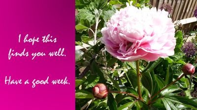 brookstamaz's profile picture. 