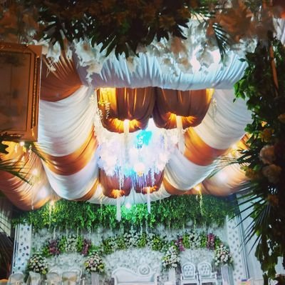Rental Alat Pesta Mojosari-Mojokerto

Persewaan alat – alat pernikahan/hajatan yang berlokasi di Watukenongo-Pungging.