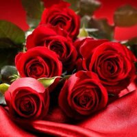 ماشي بنور الله (@om_saif222) 's Twitter Profile