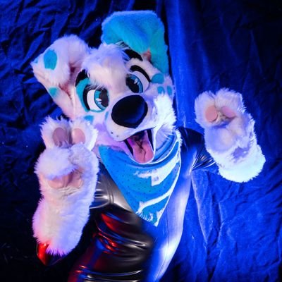 knottydalmatian's profile picture. Horny after dark Twitter for @ArcticDalmatian. NSFW | Fursuiter | 18+/AD/horny on main accounts only | Please no re-sharing of content found here ⛓️😘👀😈🐶