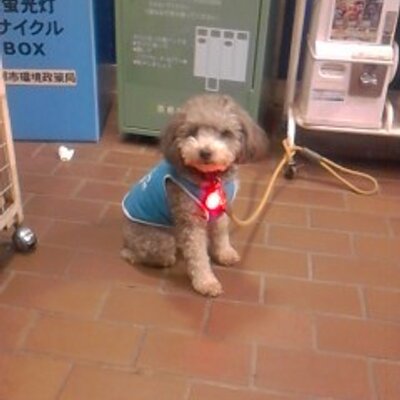田村 智子 ついに訃報 幼馴染みからメールを見たとき頭が真っ白になった 遠藤由佳子 さん24歳東松島市矢本 同姓同名の間違えであって欲しい