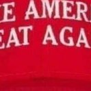 6Q3 Deplorable (@6deplorable) 's Twitter Profile