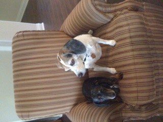 graniebat's profile picture. Retired and love it.  Grandma to Mason who has my heart.