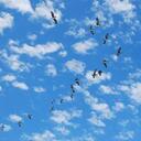 Gina Herring - @GinasDoItAllAdm - Twitter