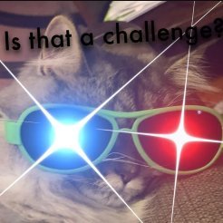 Spardicat331's profile picture. 