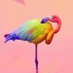 Insane Flamingo (@InsaneFlamingo) Twitter profile photo