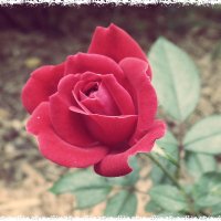 Kelly L (@kellyly125) 's Twitter Profile Photo