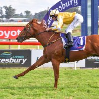 Go Bloodstock Australia (@gobloodstockaus) 's Twitter Profile
