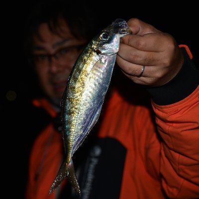 瀬戸内のハワイと呼ばれる山口県周防大島にて、創業より60年…Kanaloaフィッシングコミュニティーです。ぜひ気軽に連絡して下さいね。フォローもよろしくお願いします。