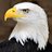 aetos_black21's profile image