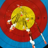 Alison Williamson(@ArcheryAlison) 's Twitter Profile Photo