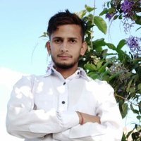 SIkandar Arya(@SIkandararyaBJP) 's Twitter Profile Photo