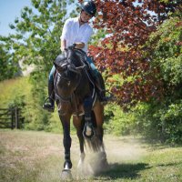 Emma O'Dwyer (@_emmaodwyer_) 's Twitter Profile