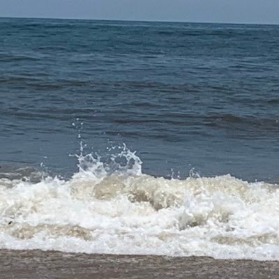 scn425's profile picture. 
