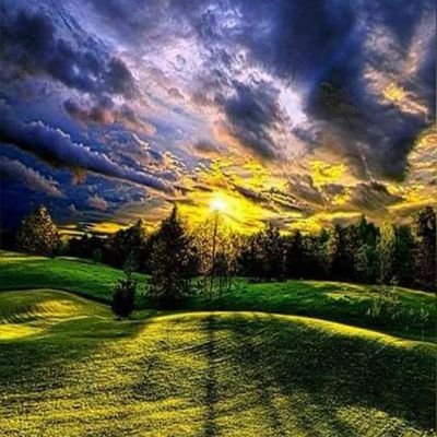 yawdennix's profile picture. ||@CHELSEA💙||HUMOR||