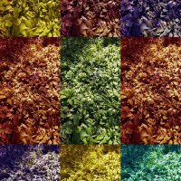 david doyle (@doyley65) 's Twitter Profile