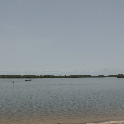 nopost247's profile picture. 