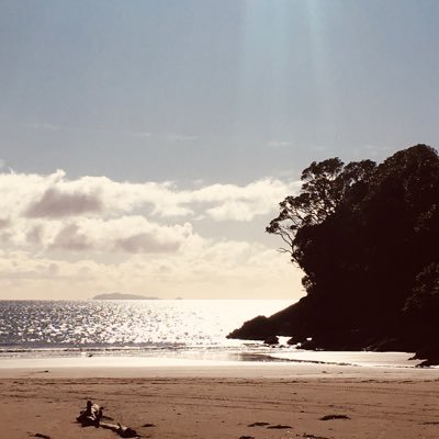 SportsReportDio's profile picture. 