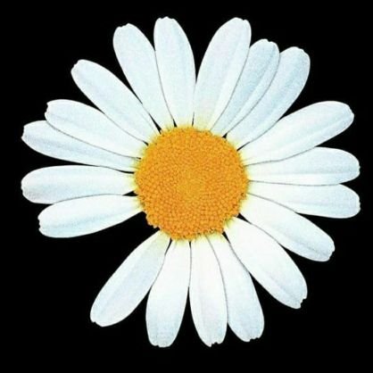 so_kate_503's profile picture. 