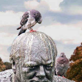 I'd rather be a pigeon then a statue.
Being a woman is exclusive.