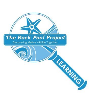 The Rock Pool Project aspires to inspire individuals of all ages to explore marine life on the UK's coast and learn more about how diverse it is!