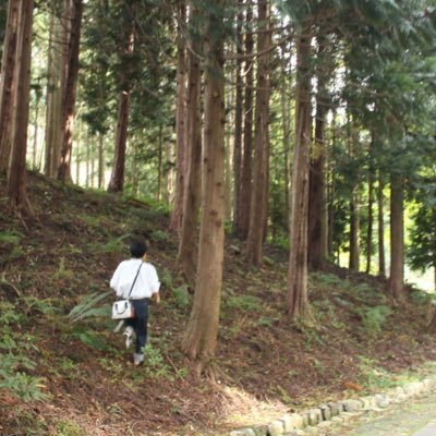 TDHさんのプロフィール画像