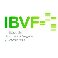 IBVF(@IBVF_Sevilla) 's Twitter Profile Photo