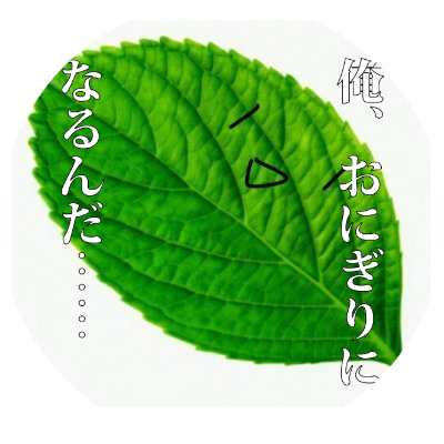 おにぎりになるんや……！！！さんのプロフィール画像