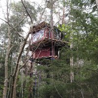 Blodstensskogen (@blodstenssgkog1) 's Twitter Profile