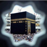 ⚖مزيد بن مسعد ⚖ (@almatrafi056) Twitter profile photo