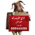 ذبايح الجويسري (@baderjwsry) Twitter profile photo ذبايح الجويسري (@baderjwsry) Twitter profile photo