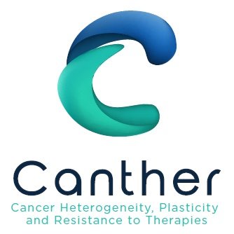 Canther_Lille Profile