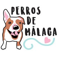 Perros de Málaga(@perrosdemalaga) 's Twitter Profile Photo